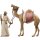LI Camelliere con camello