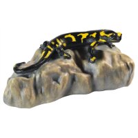 Salamandra su pietra