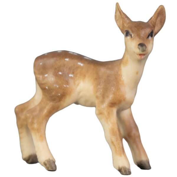 Roe deer puppy Bambi