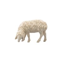 SI Sheep grazing left