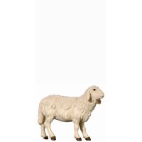 SI Sheep standing