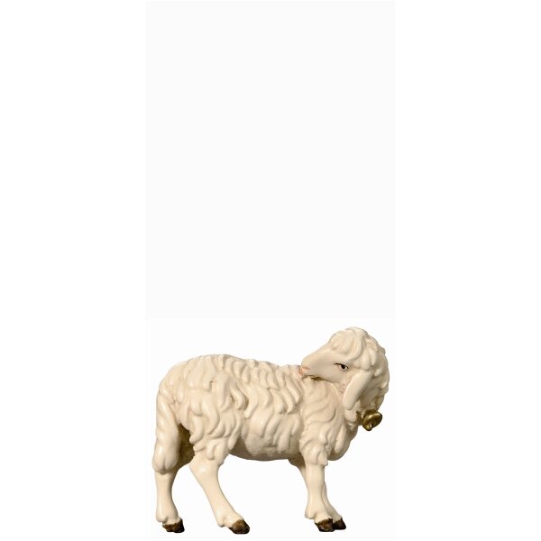 SI Sheep with bell