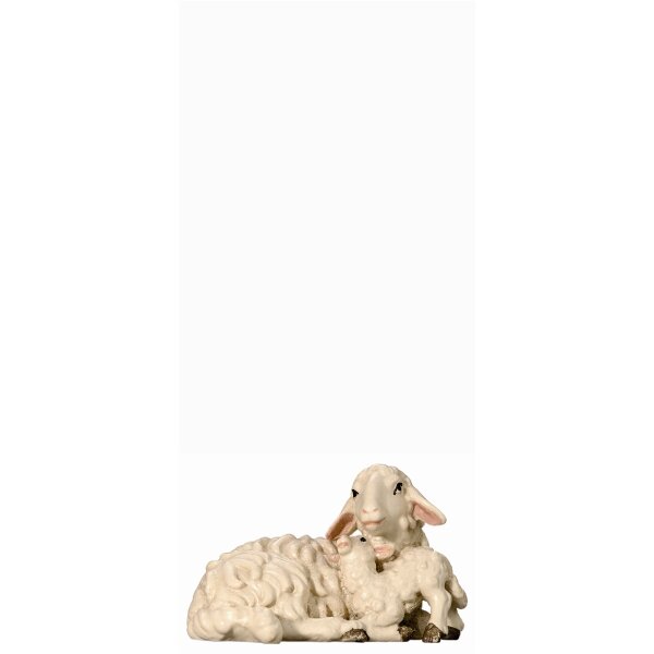 SI Sheep lying with lamb