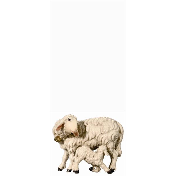 SI Sheep with lamb feeding