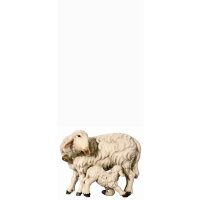 SI Sheep with lamb feeding