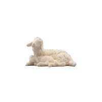 SI Sheep laying with lamb sleeping