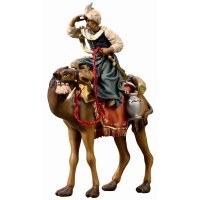 IN Camello