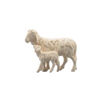 IN Schaf laufend mit Lamm
