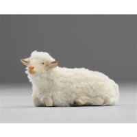 Schaf liegend mit Wolle