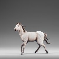 Cavallo Bianco