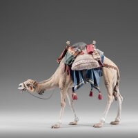 Dromedary with bags for King