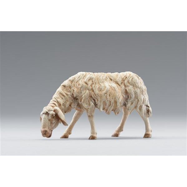 Sheep grazing - color - 11,8 inch