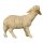 Schaf blöckend - Hued - 3,5 inch
