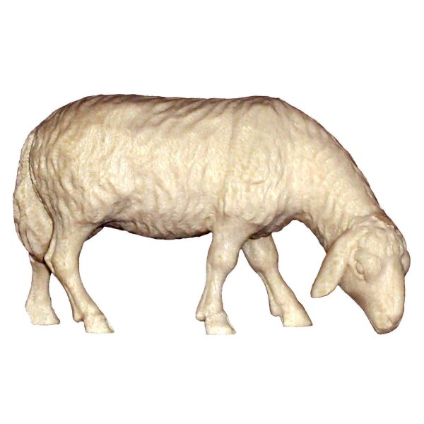 Schaf grasend - Natur - 9 cm