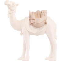 Baggage for camel Artis