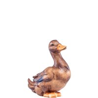 Duck Artis brown