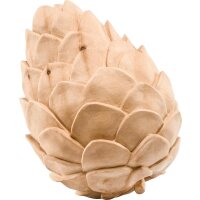 Swiss pine cone