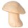 Mushroom oblique