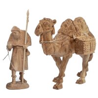 Kamel mit Kameltreiber