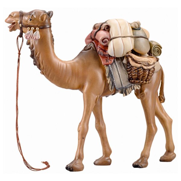 IN Camel with luggage