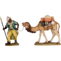 Camel with Driver and Baggage