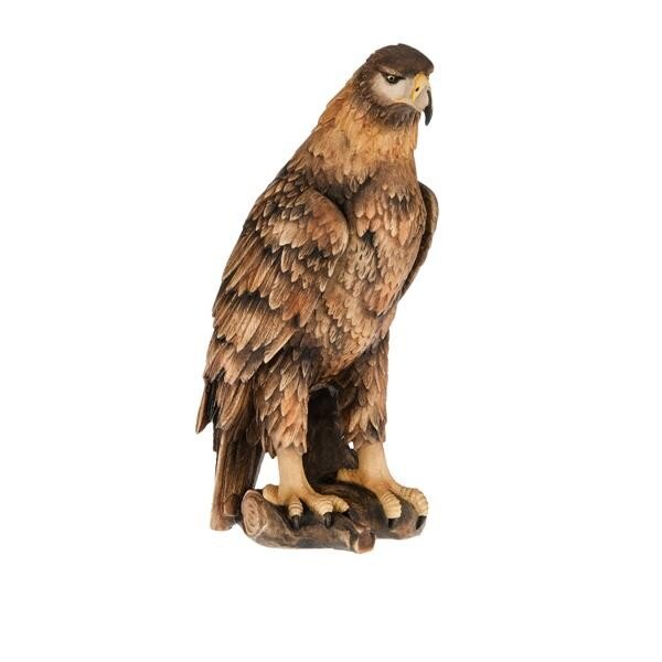 Golden eagle - colored - 3,5 inch