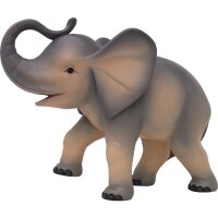Elefantenjunge