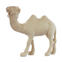 Kamel stehend modern