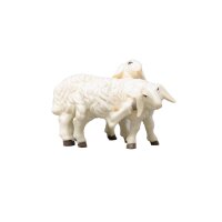 Pecore in coppia