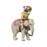 Elephant with driver