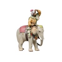 Elephant with driver