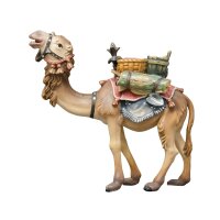 Camel with baggage